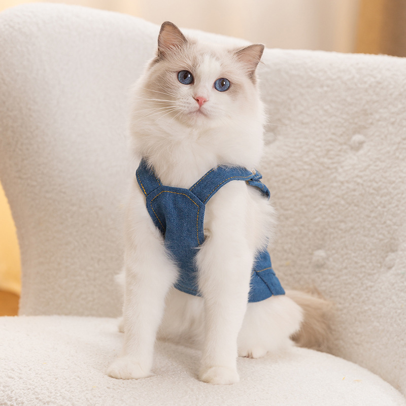 Gato Otoño e Invierno correa de bolsillo falda de mezclilla perro pequeño perro oso de peluche casual mascota ropa de dos patas