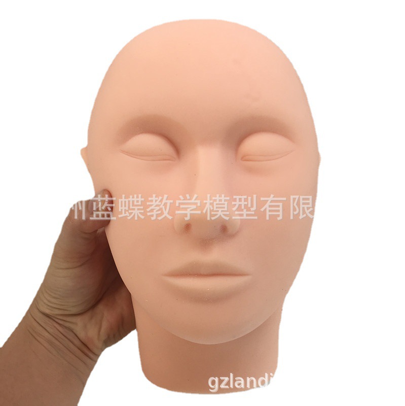 ΢ͷģ 轺沿עƤѧϰָѧʾ̵