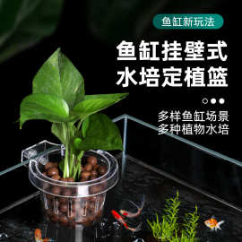 鱼缸挂壁式水培定植篮大号水草固定篮种植杯植物造景装饰一体篮