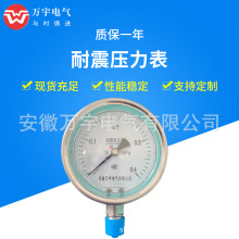 YN-100 压力表 不锈钢耐震 膜盒 氧压表 真空表 抗震 规格齐全