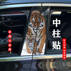 自動車の中柱車はb柱の個性的な創意的な傷を貼って絵の炎の霊姫を覆って保護膜のステッカーの車を改造します。