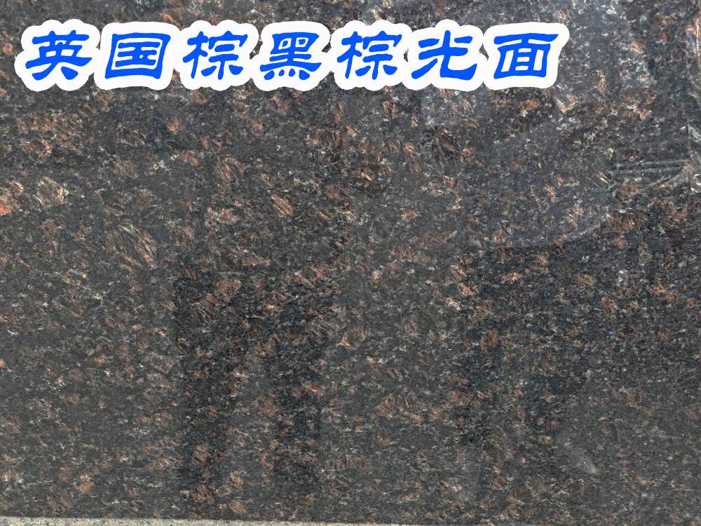 英国棕黑棕.jpg