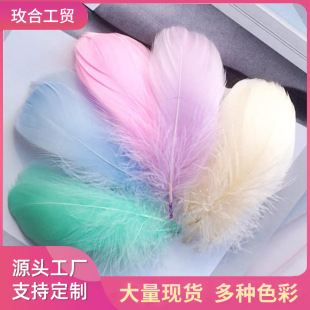 ���R�d���N�R����ɫ�Zë���h�������ɫ��ë�����Y�в����W����