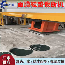 面膜高速裁断机 整版送料裁切机 快速裁切机 裁断机 xpe垫模切机