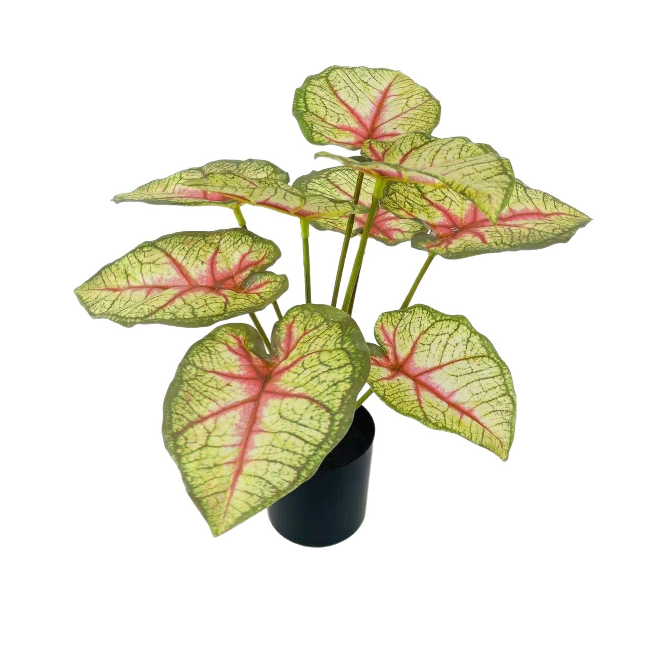 Preferencia personalizada imitación verde imitación flor tortuga árbol roble árbol de hierro viajero de plátano hoja de arpín cola de bambú anchoa