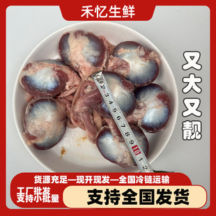 ���x�ػ�ɢ�B���������������ɢ�B���ӱ��r��θ�i�r�uζʳ������