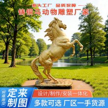 �����T�~�R���ܶ������~���R�Ƶ��T���R�~���R���~�w�R���܏S��