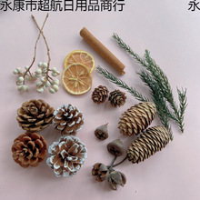 ɹ޹U㱭ɹɻ}QbDIYĔzȻֹM