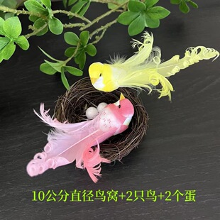 ����С�B�ɐ۲�ɫ����ë�[���Gֲ�辰���Ի��@�ֻ��@�׃��@�b�Ʒ
