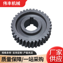 非标蜗轮定制传动件机械减速机配件齿轮大型设备精密涡轮来样定做