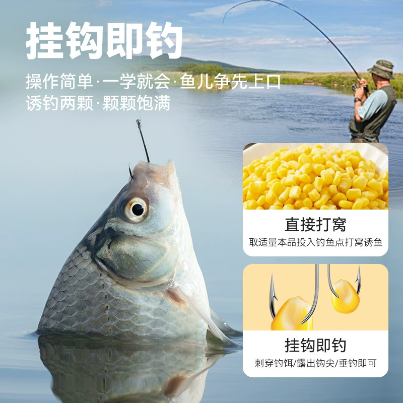 谷道香 Corn wheat kernel series fishing and fishing medicine black pit wild fishing reservoir grass carp carp nest material bait
