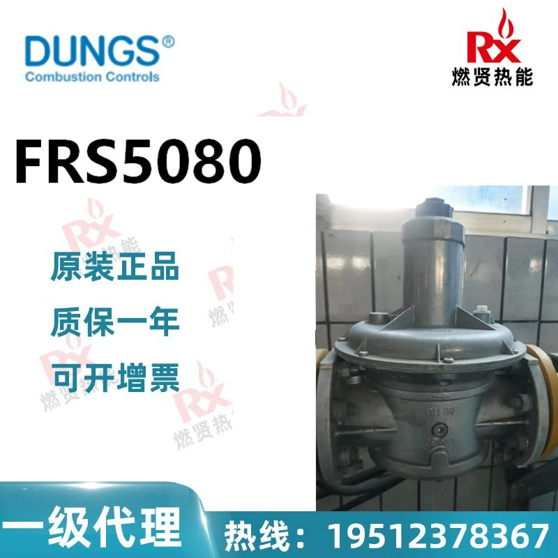 Немецкий детектор утечки газа FRS5080 клапана уменьшения давления Dongsi DUNGS в наличии