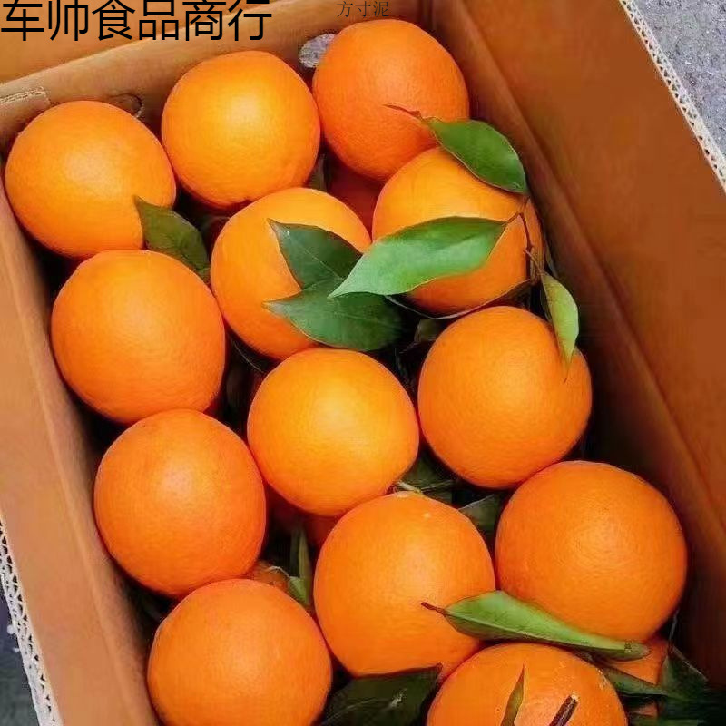 Oranges Fresh Navel Oranges Fresh Sweet Oranges Sugar Oranges Not Aimeng Jelly Oranges Gannan Navel Oranges Whole Box Wholesale