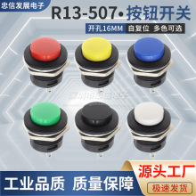 R13-507 ���o�c���_�P �_��16MM �ԏ�λ���I�_�P �A�Οo�i�_�P2�_