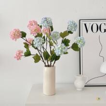 ?3�^����ѩ�򻨼Ҿ��b͏d�[�żٻ���Y�ò廨�������յ�