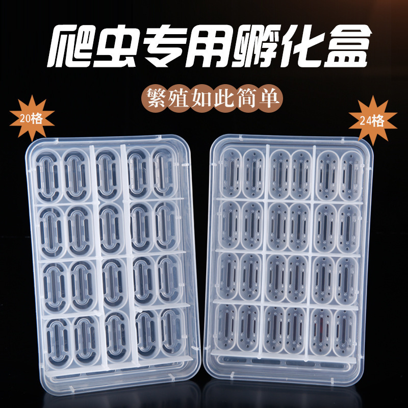 Climbing Pavilion recommends professional palace guard lizard class small pet crawler advanced hatching egg holder to send box reptile egg incubator