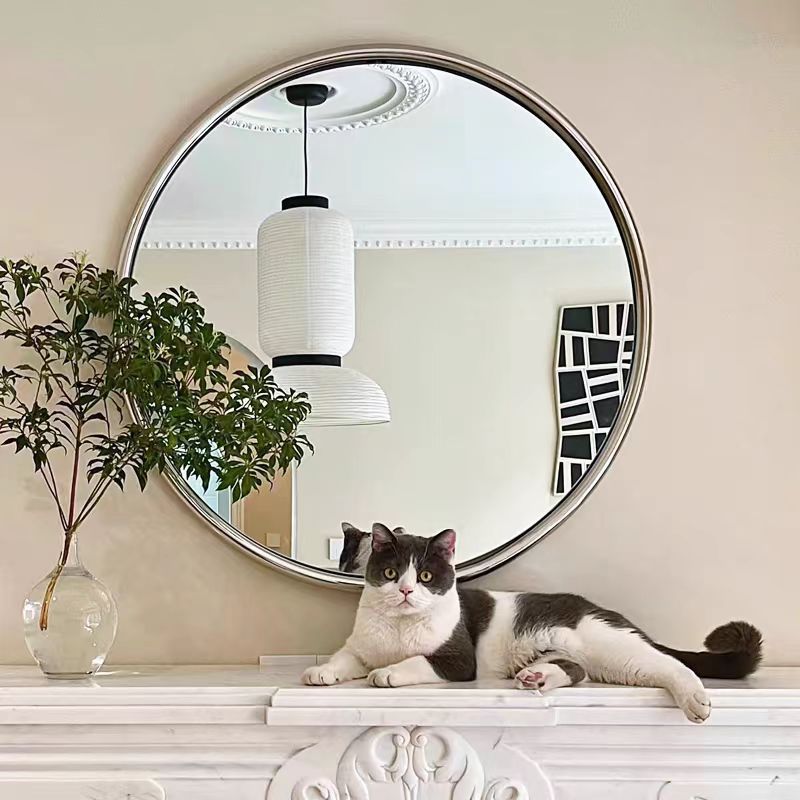 Stainless Steel Dressing Table Mirror Round Makeup Mirror Small Wall-Mounted Decoration Medieval Creative Bedroom Bathroom Bathroom