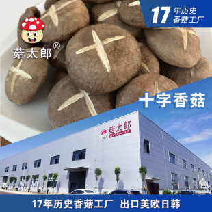 �㹽��؛�㹽�ɶ�����ʮ���㹽��׵�׶����������ڻ��؂䰸