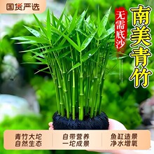 ���������~��ˮ�����G������쾰����ֲ������B�~�b��������