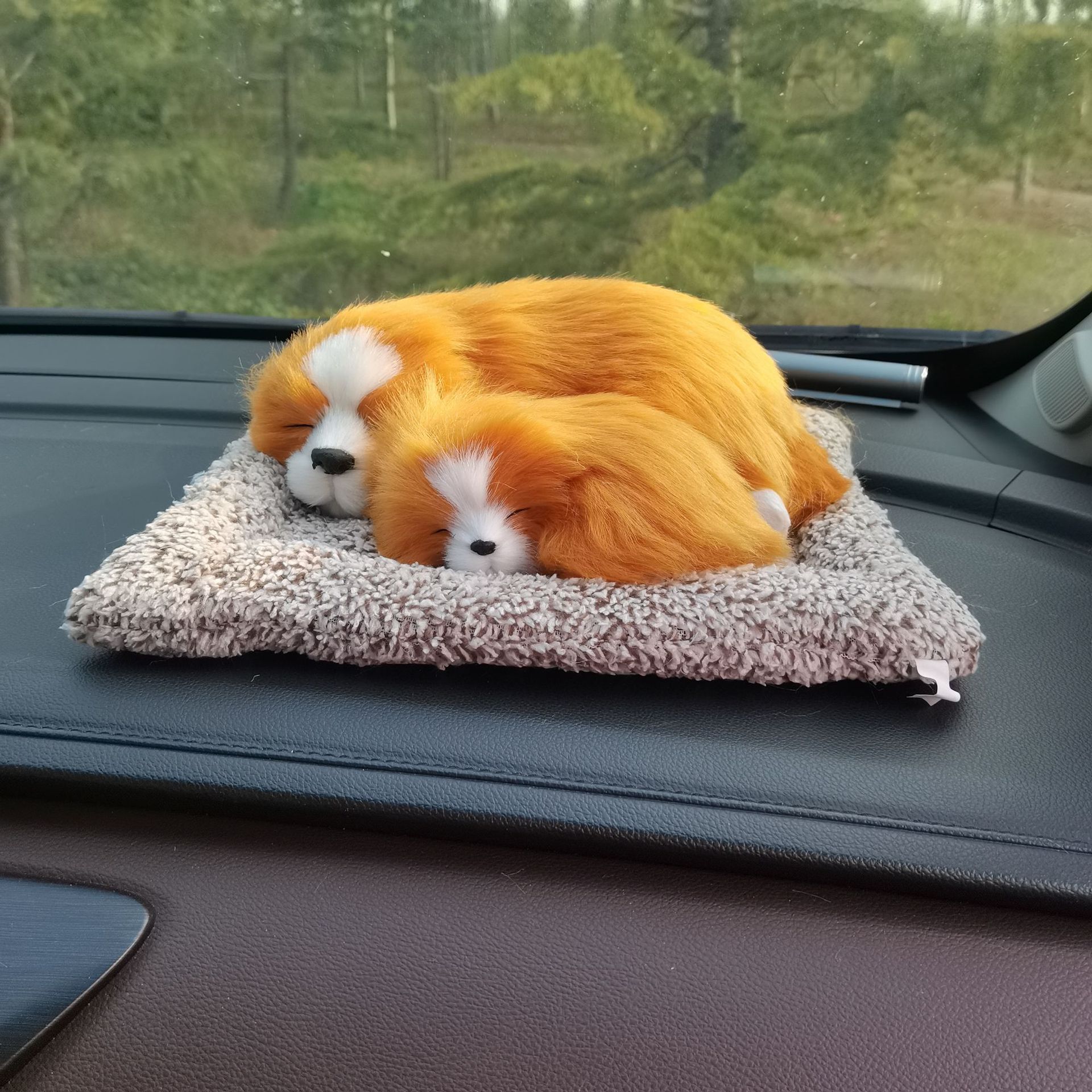 微信图片_20221002084214