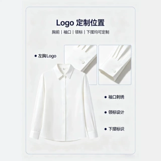 高端女装长袖衬衫源头工厂定制可做LOGO刺绣织唛企业团体工作服