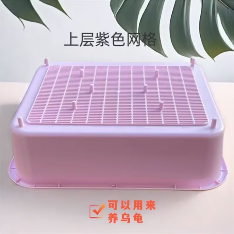 보라색 상단 단일 그리드