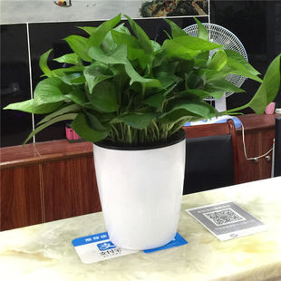 ˮ��G�}�����҃���ˮ�lؔ���ͥ�G�}ˮ��