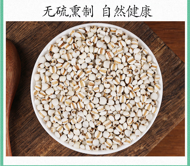 Premium Coix Seed Yi Yi Ren 500g Dried Job's Tears for Food and Herbal Use in use