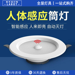 Led知能音響制御人体感応ダウンライト埋め込み式天井ライトレーダー設置工家庭用天井玄関