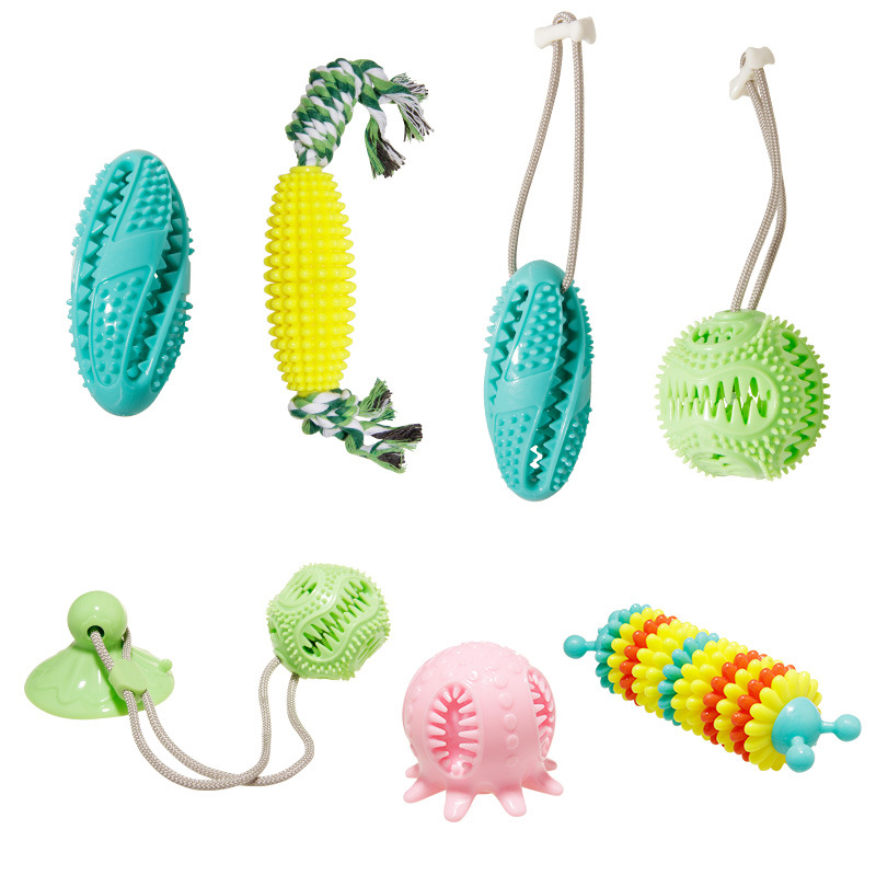 宠物狗咬玩具 (2).jpg