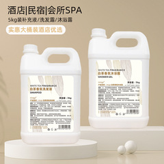 Hotel & Guesthouse 5L Large Bucket Shampoo & Bath Gel for Barbershops, Beauty Salons, & Spas - Wholesale