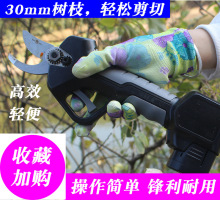 �@��늄���֦���ֳ֟o���늼���yʽ��늼����@��֦������늼�