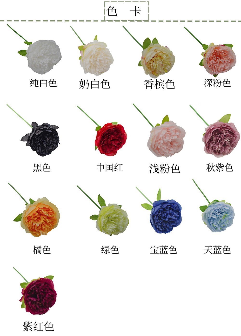 色卡_副本_副本.jpg
