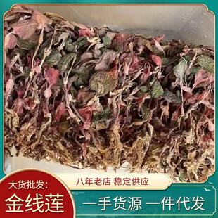 ��ɏ���l �tϼ����o���ɏ�� 500g��؛�a��ֱ��֧��һ�����l