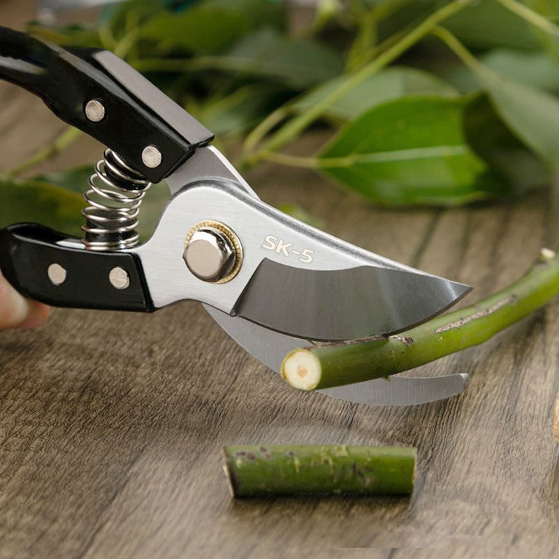 h2uTiviiztSHn2aJjQ1VWrJ+OeSZoZhovH3e