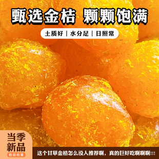 �ʲݽ�۸��ش�V�����ٝ��ۺ��T�������e�W�tС��ʳ�ٷ���Ş��