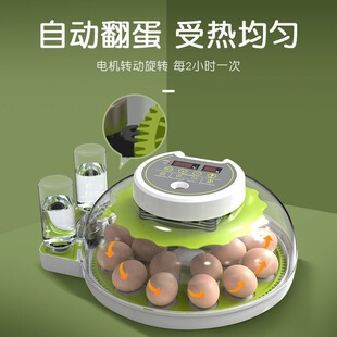 ������С�ͼ����W�^����͸��������С�w���u�����uͨ���R�d