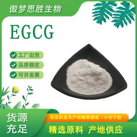 EGCG表没食子儿茶素没食子酸酯100g装绿茶提取物儿茶素 EGC多规格