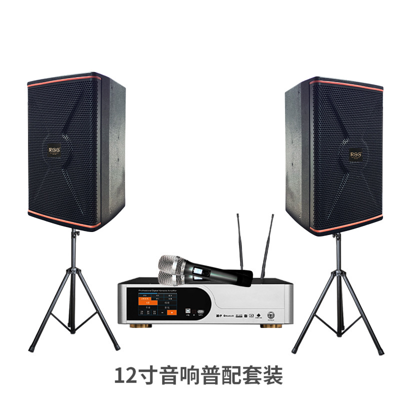 Sistema de karaoke RGG para el hogar, juego de altavoces de karaoke de 10 y 12 pulgadas, juego completo