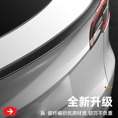 Fixed wind wing, for the Modified Version of Tesla's