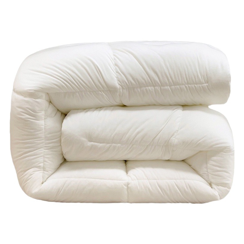 Iceland cashmere protein quilt soft and glutinous quilt high rebound factory direct wholesale delivery group buying gifts will be sold