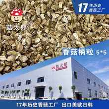 �p���㹽����Ģ���ȶ����_���㹽�����W�����㹽����5mm���؂䰸