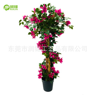 ��������÷��پGֲ�����҃�õ�廨�Ƶ�͏d�b��^����÷����