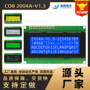 COB2004AҺ����20x4�ַ��@ʾ�{�S��5Vģ�M98x60���I�c�LCD�@ʾ��