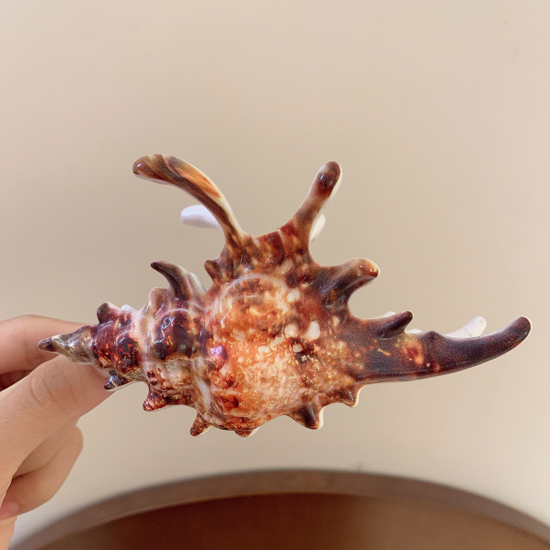 다크브라운 - 소라클립 [13cm]