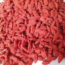 熟枸杞 宁夏枸杞 低温烘焙五谷杂粮磨粉现磨豆浆原料批发