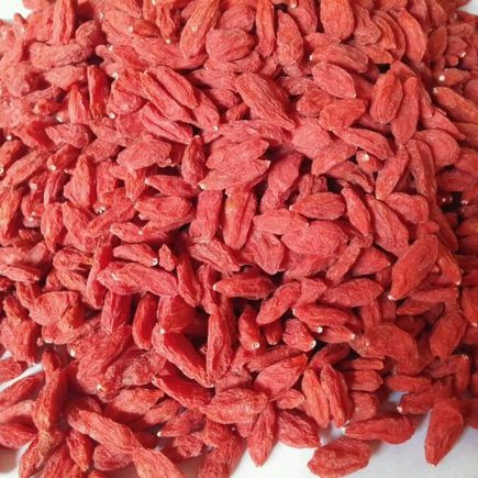 熟枸杞 宁夏枸杞 低温烘焙五谷杂粮磨粉现磨豆浆原料批发