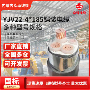 ���ɱ��� �z�bZR-YJV22-0.6/1KV늾���|��о4*185�͉���ȼ����