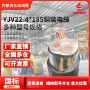 铠装地埋低压阻燃电缆