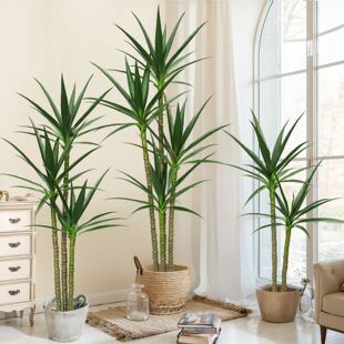 ���W���愦���F��ֲ�������b����Gֲ�٘��҃ș����쾰�ҾӔ[��